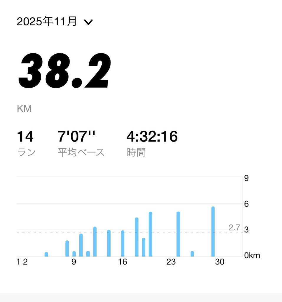 2025年11月の月間走行距離38.2km・14回を示すランニングアプリの記録画面